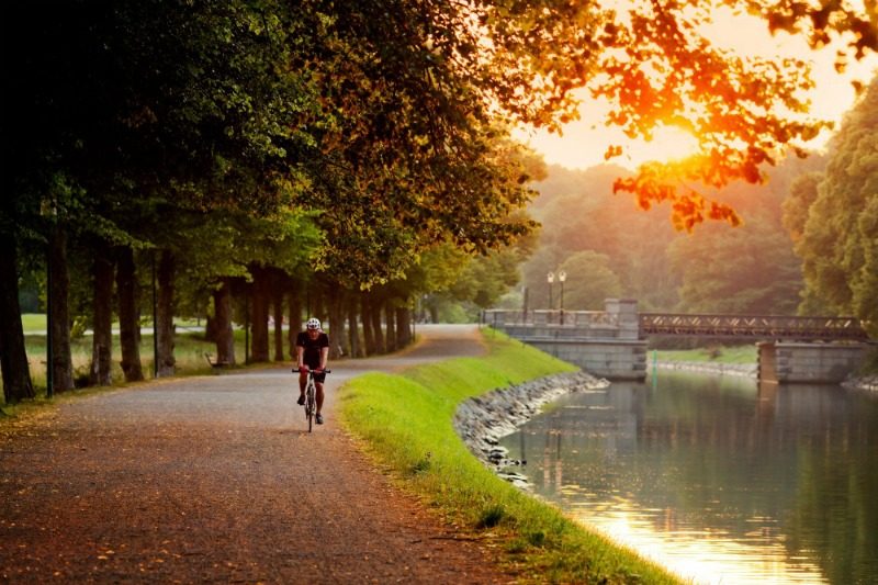 Bicycle rider cycles through park in stockholm Bicycle rider cycles through park in stockholm